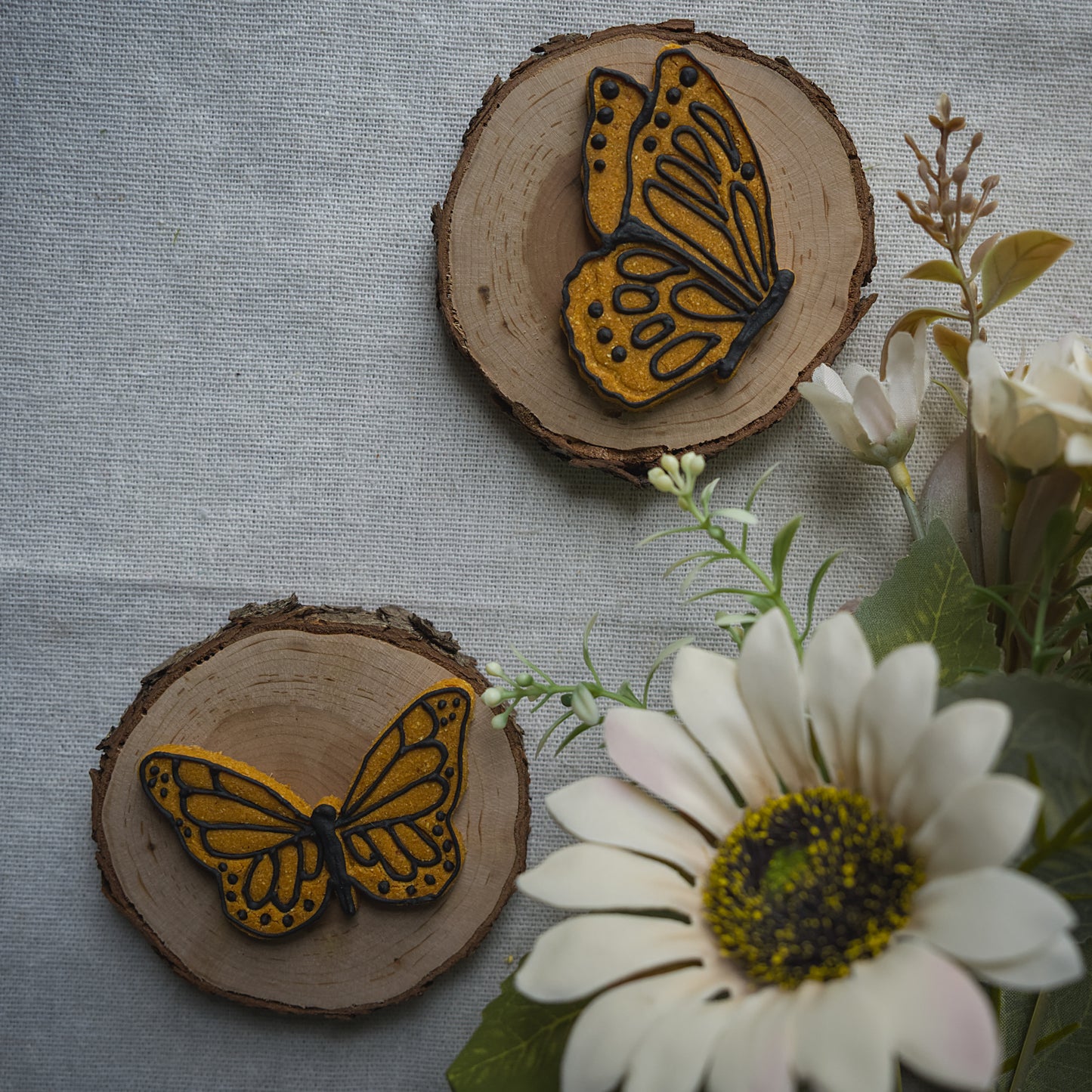 Monarch Butterflies