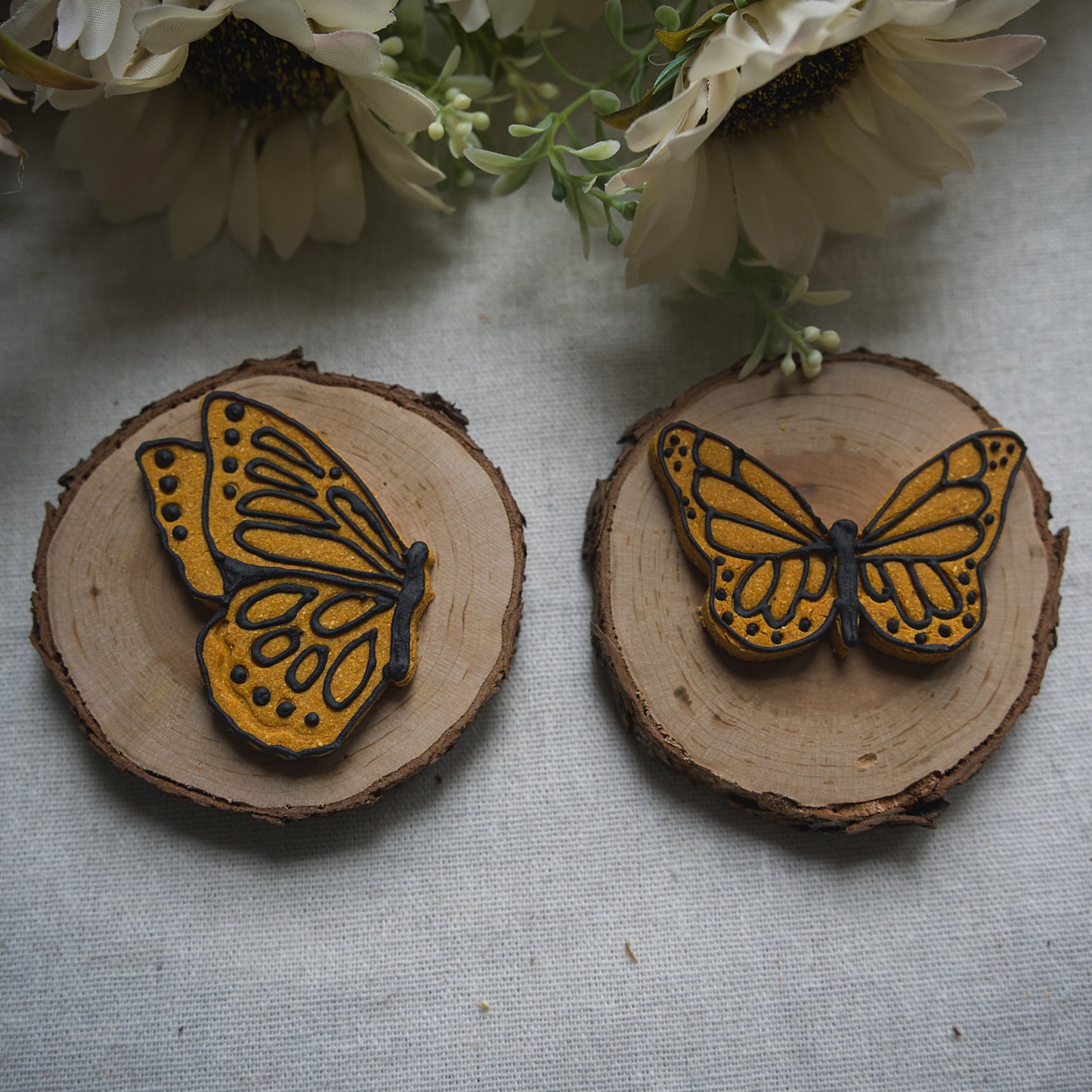 Monarch Butterflies