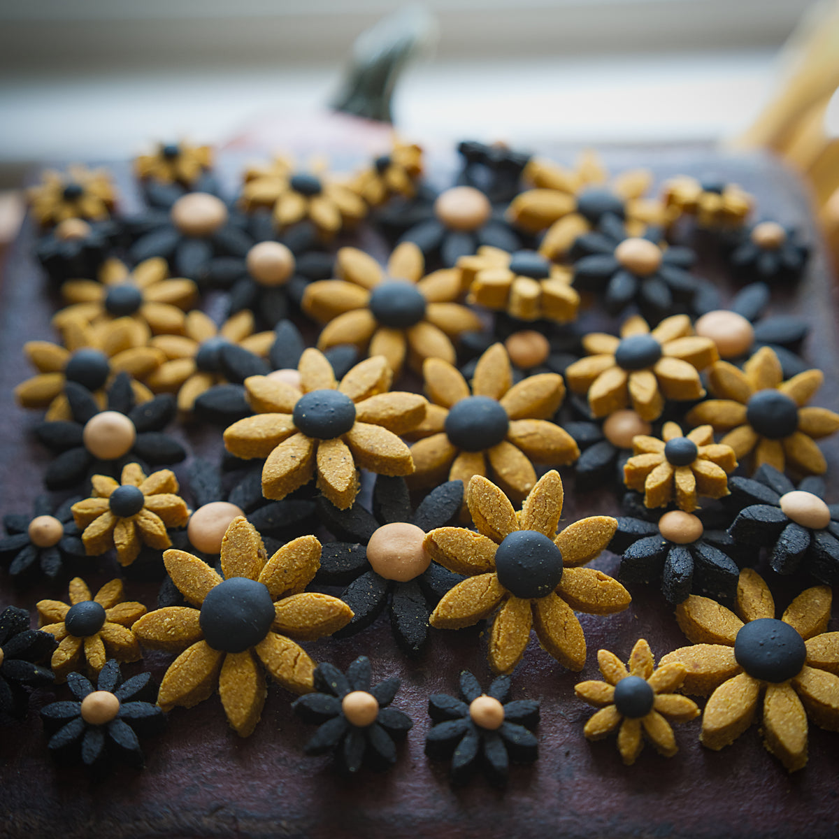 Spooky Daisies