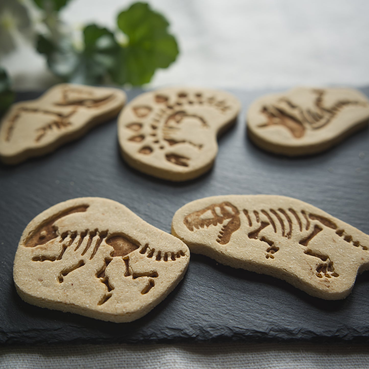 Jurassic Paws