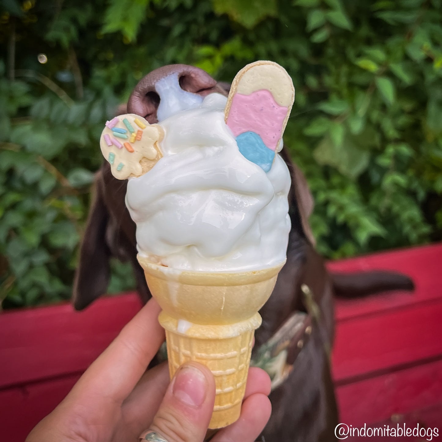 Ice Cream Treats