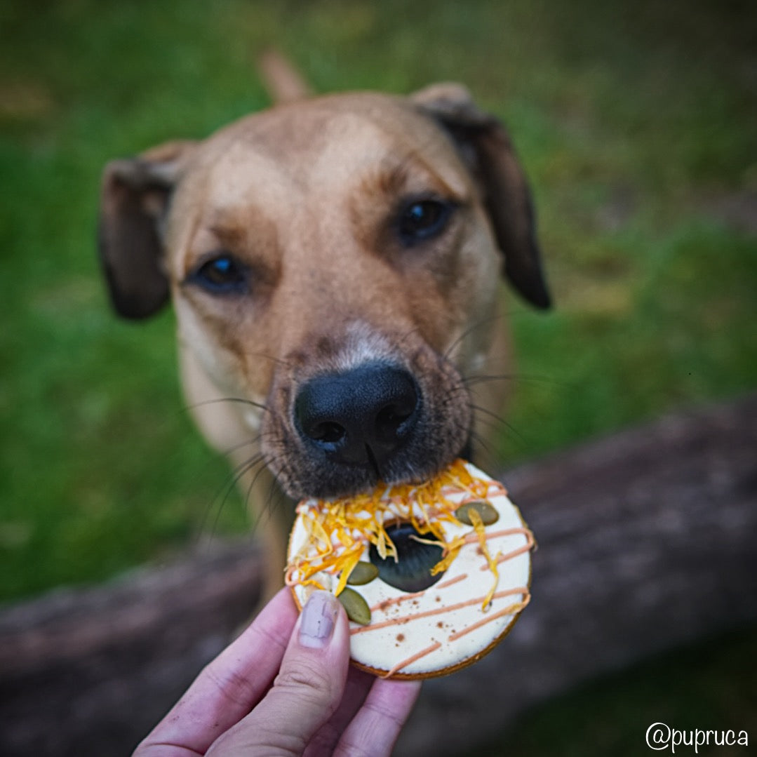 Pumpkin Spice Donuts