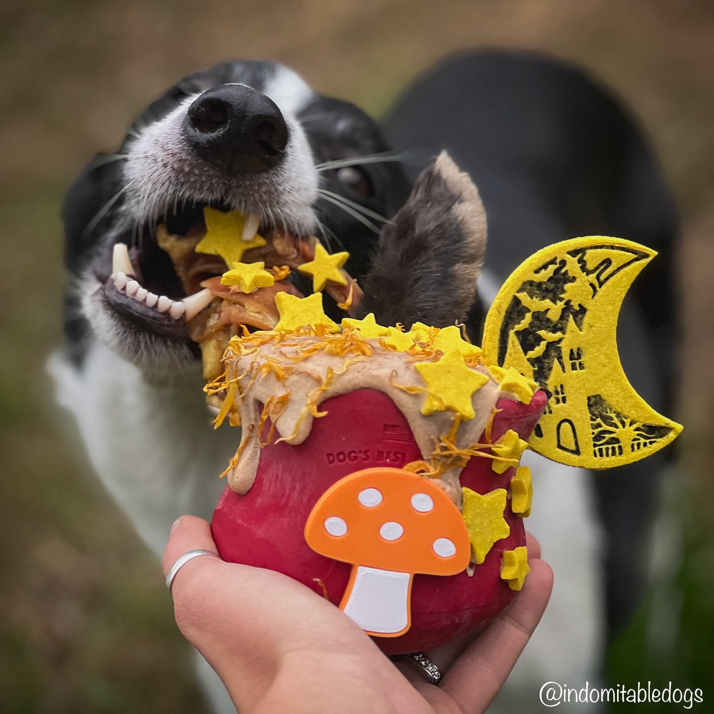 Howl-o-ween Toppl Hangers