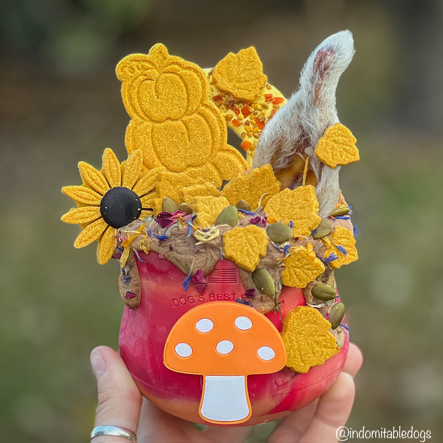 Autumn Treat Box