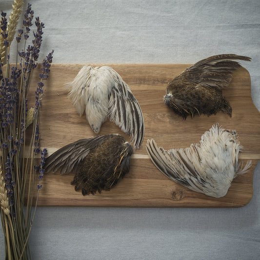 Dehydrated Quail Wings