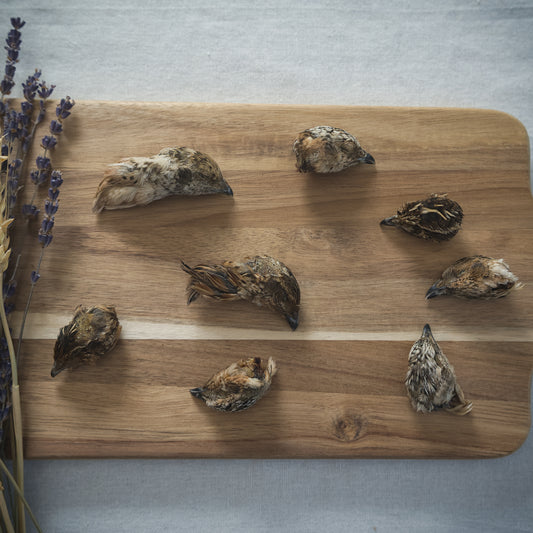 Dehydrated Quail Heads