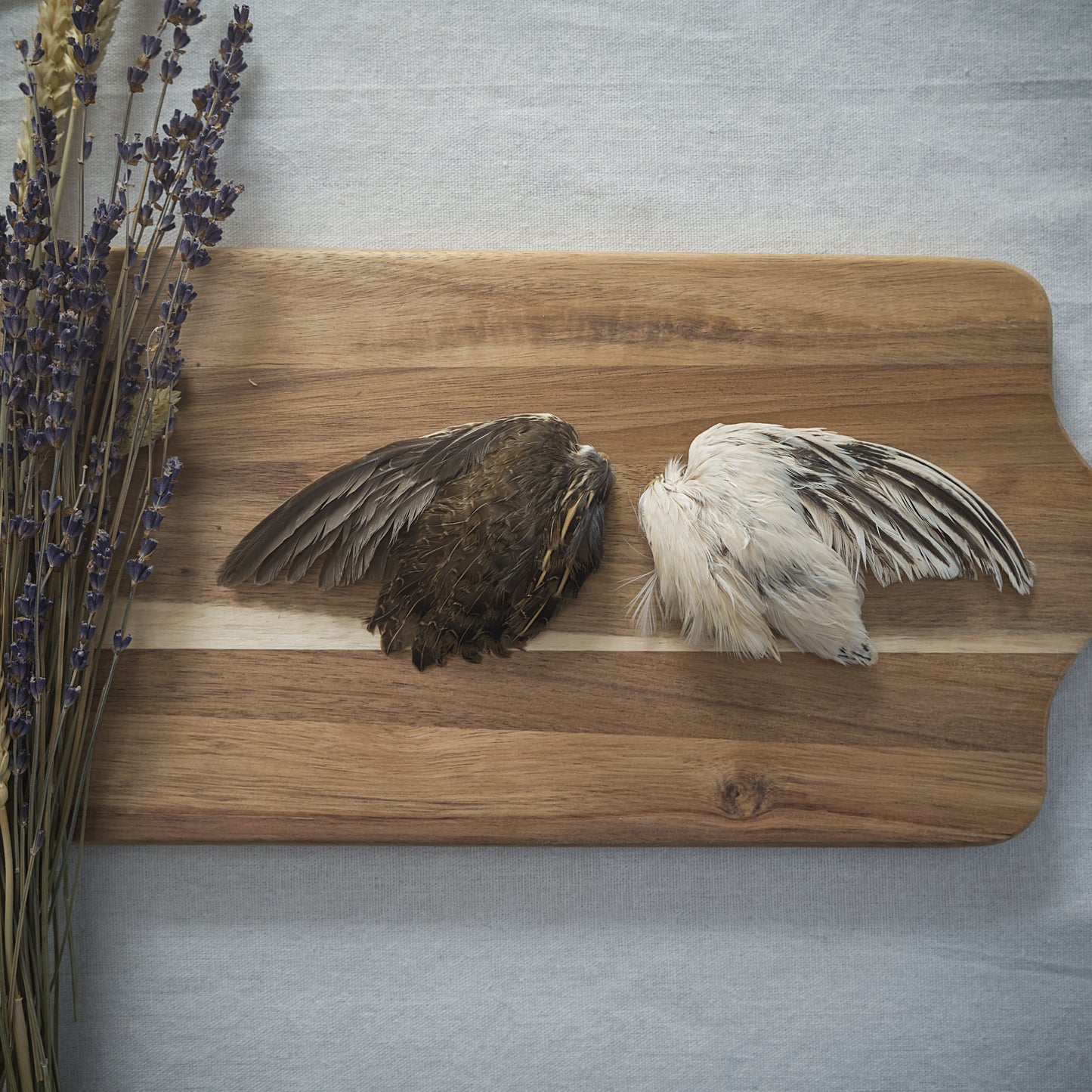 Dehydrated Quail Wings