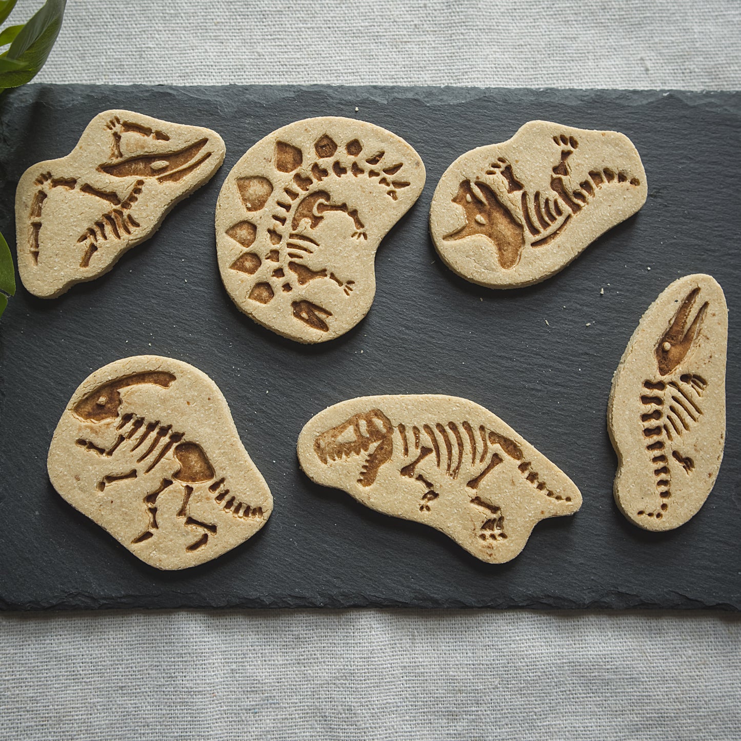 Jurassic Paws