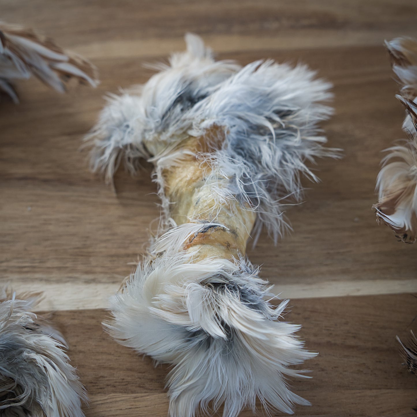 Quail Pelt Rolls (Test Batch)