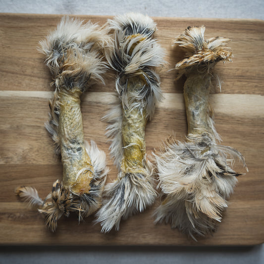 Quail Pelt Rolls