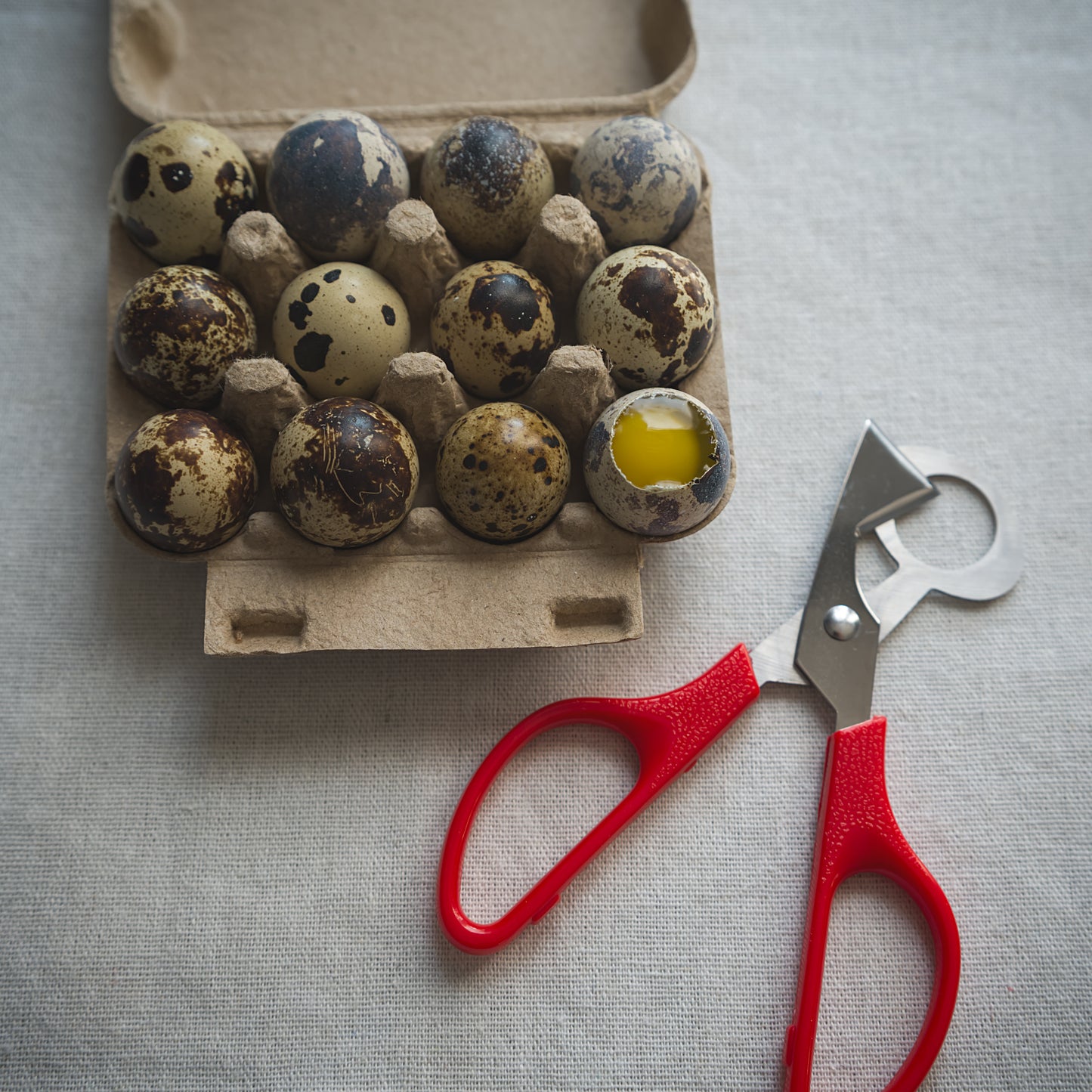 Quail Egg Scissors