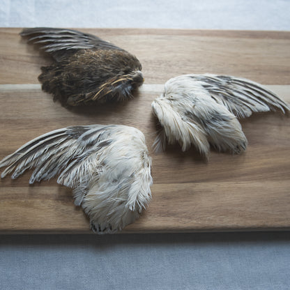 Dehydrated Quail Wings