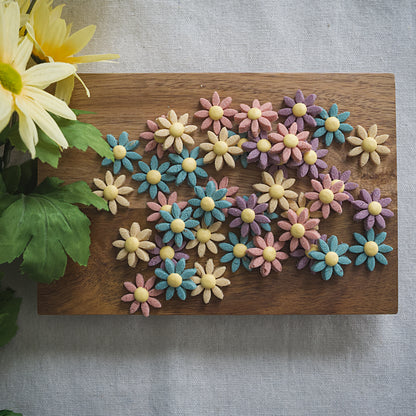 Spring Blooms