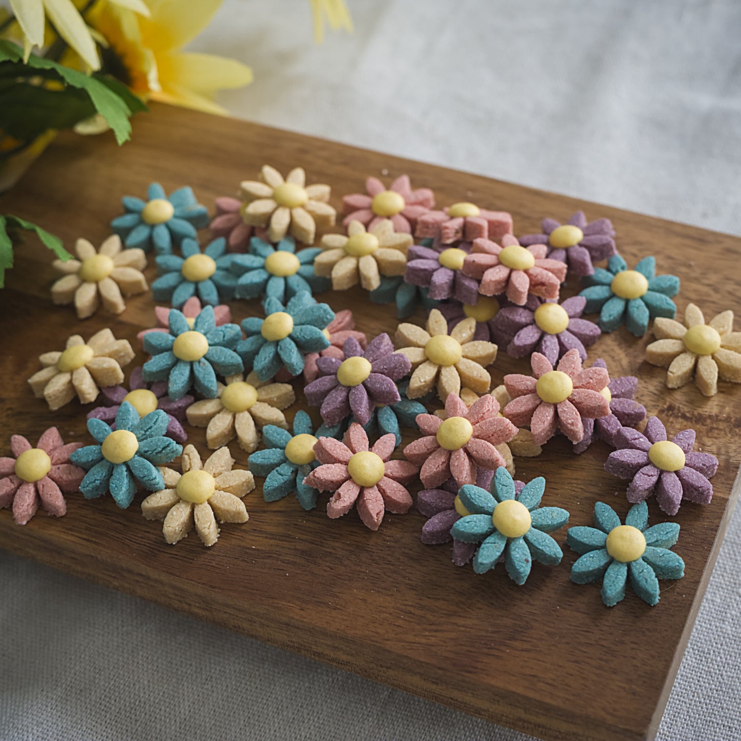 Spring Blooms