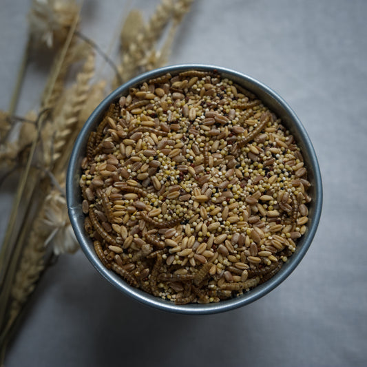 Whole Grain Poultry Scratch