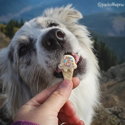 Ice Cream Treats
