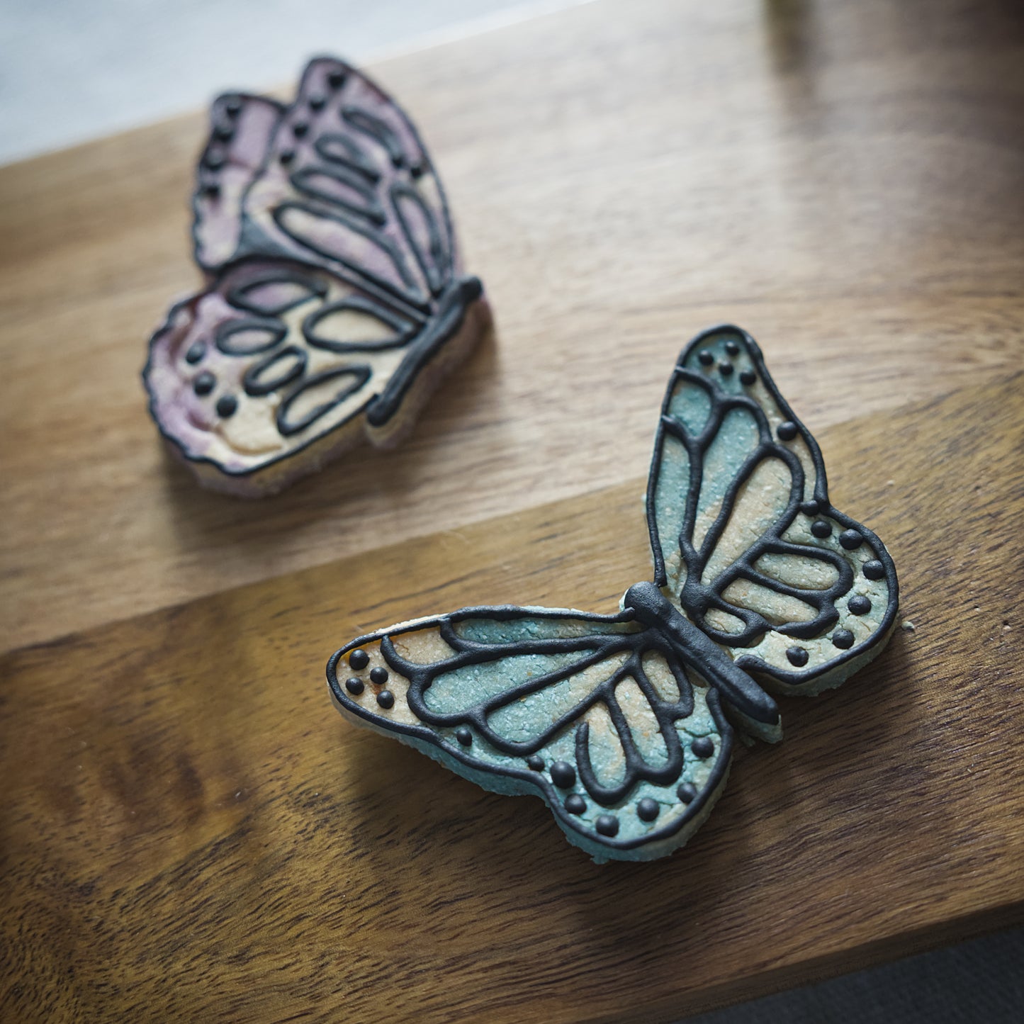 Spring Butterflies