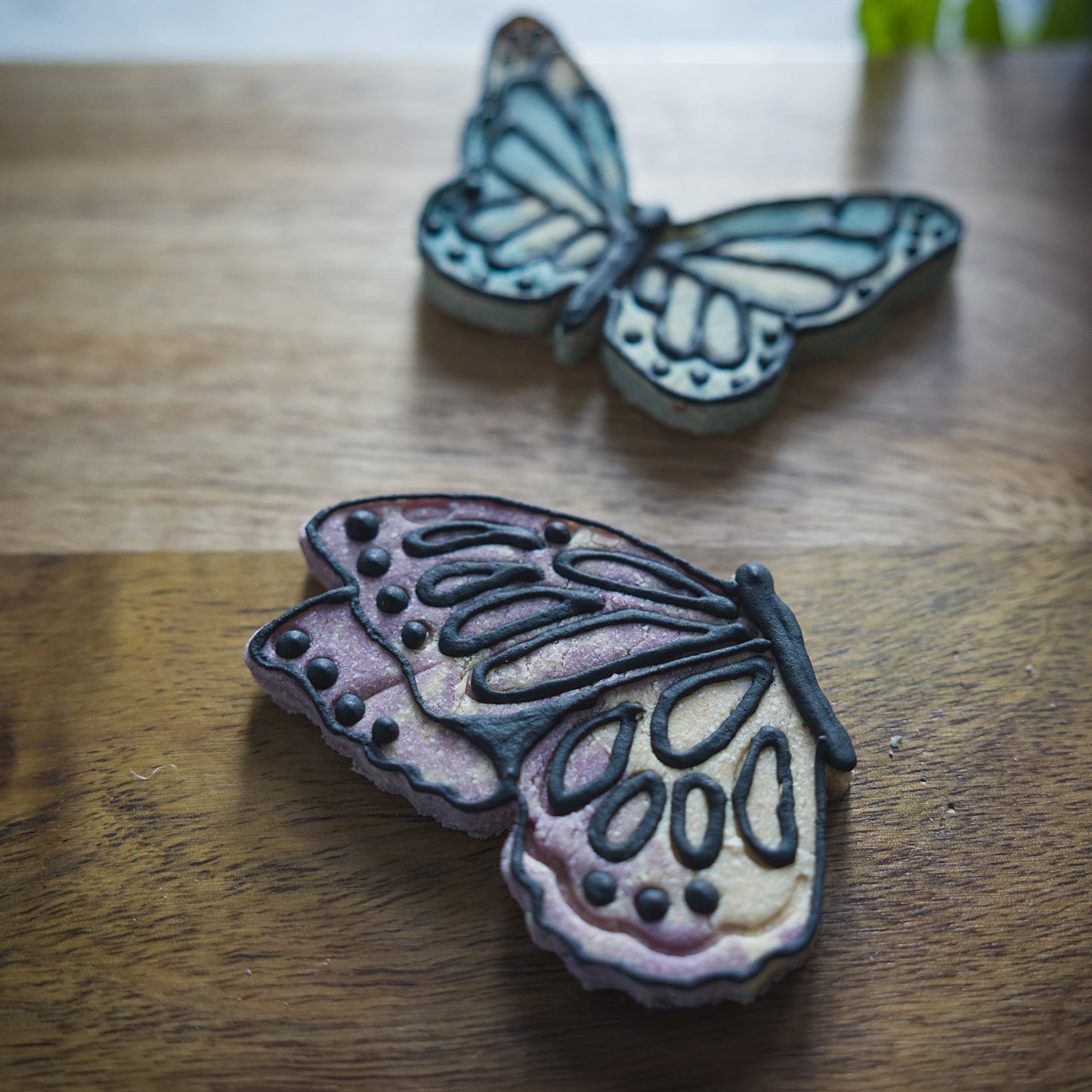 Spring Butterflies