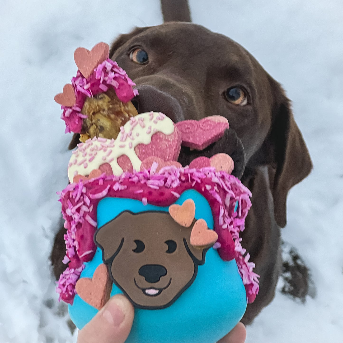 Valentine’s Treat Box *Preorder*