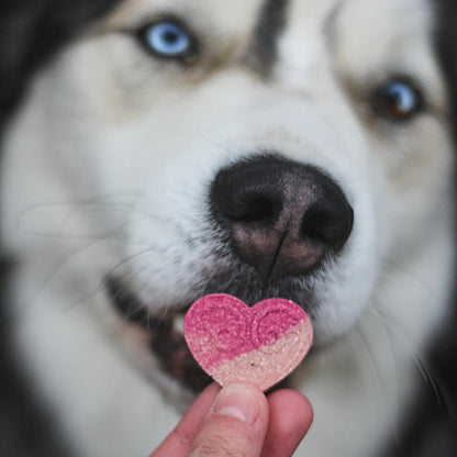 Valentine’s Treat Box *Preorder*