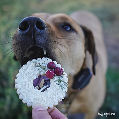 Holiday Wreath Treat *Preorder*