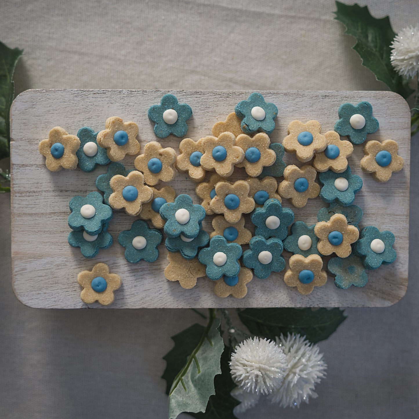 Icy Blossoms *Preorder*