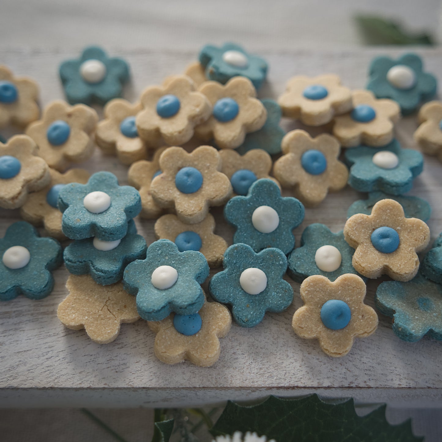 Icy Blossoms *Preorder*