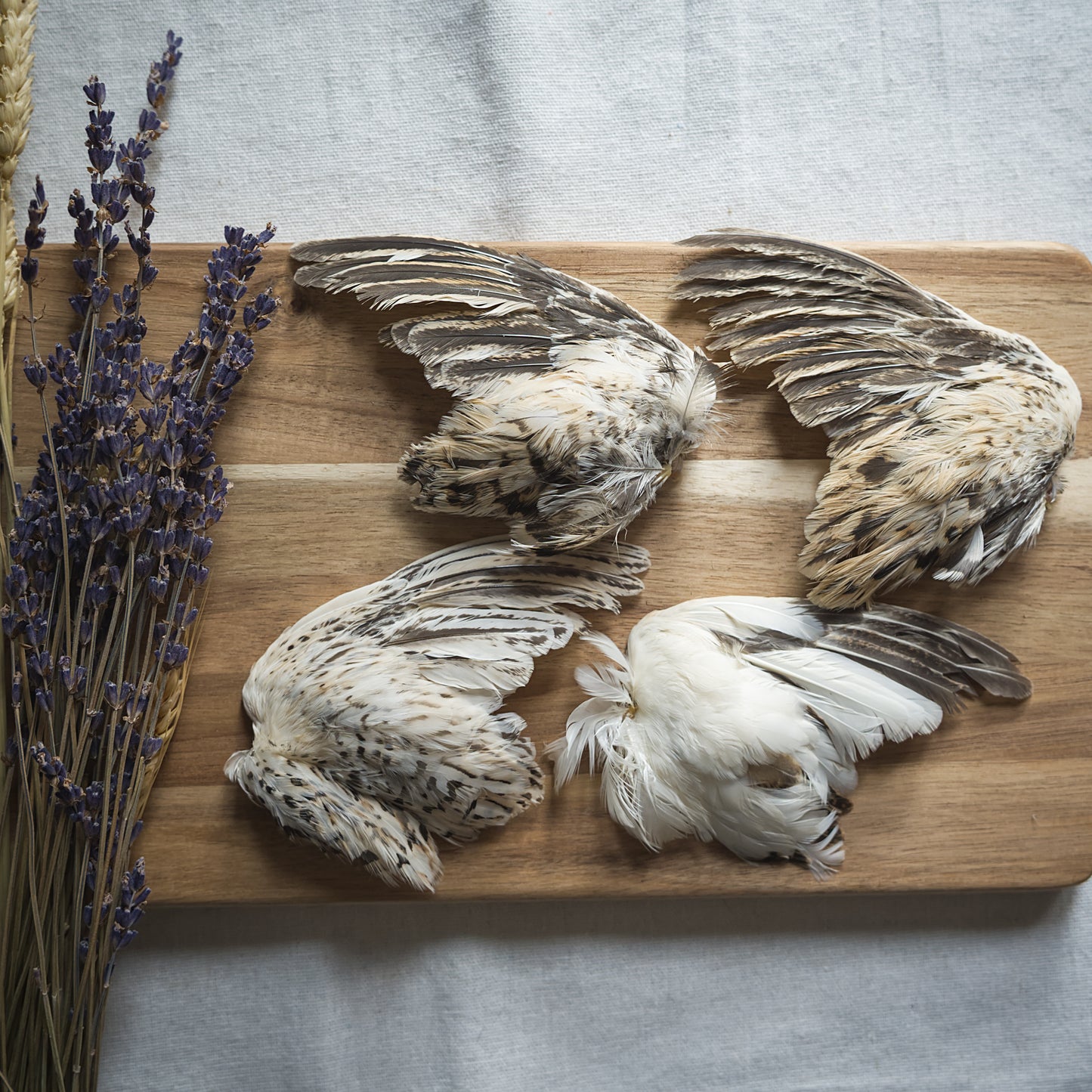 Dehydrated Quail Wings