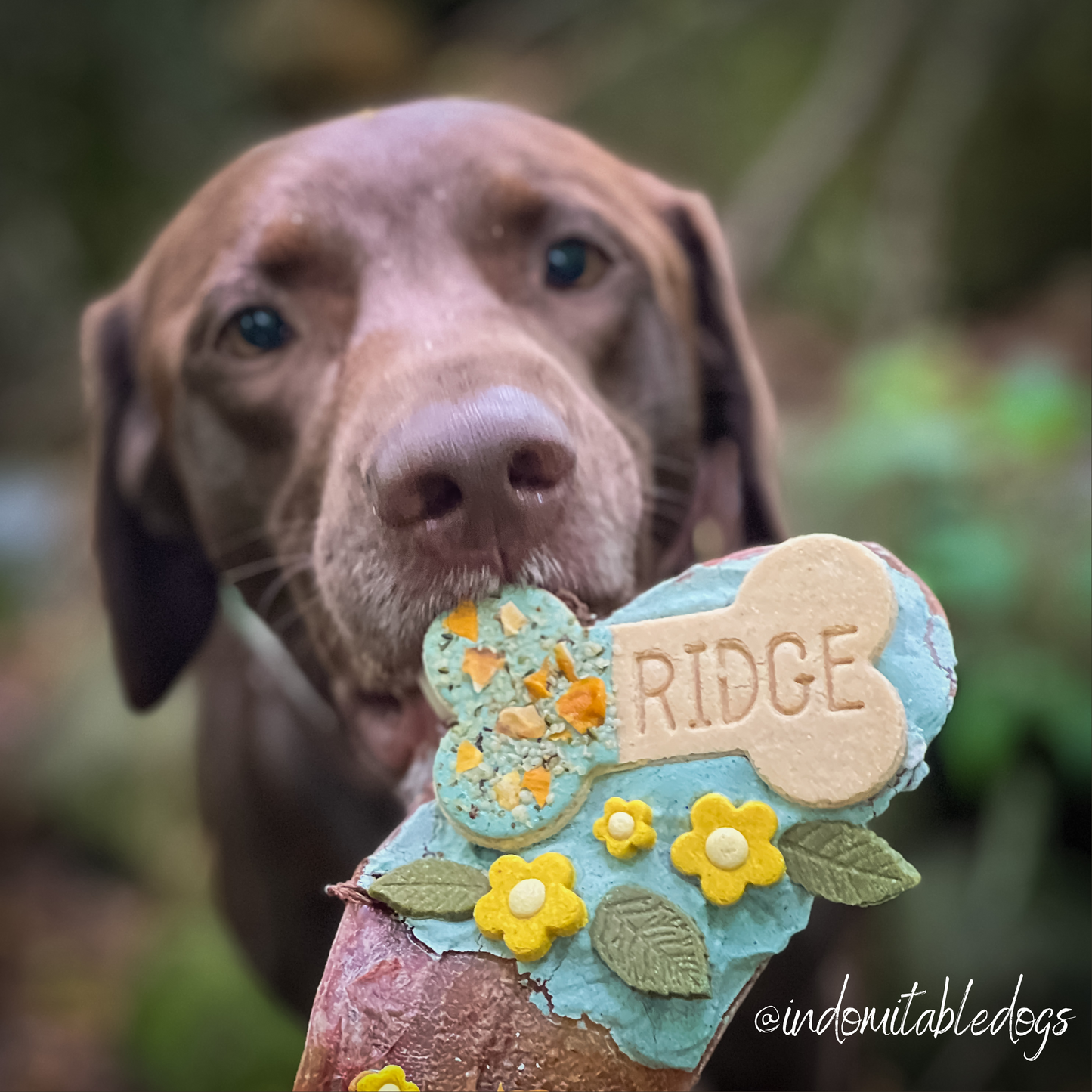 Personalized Dipped Bone