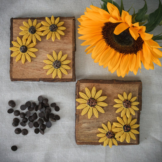 Sunflower Treats