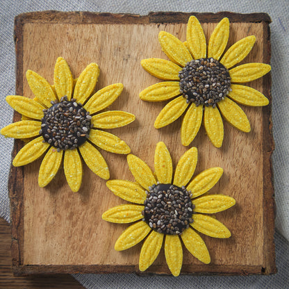 Sunflower Treats